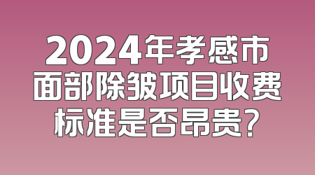2024年孝感市面部除皱项目收费标准是否昂贵？