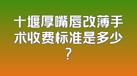 十堰厚嘴唇改薄手术收费标准是多少？