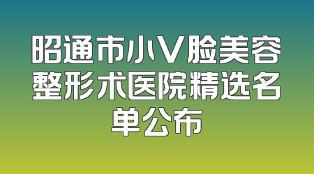昭通市小V脸美容整形术医院精选名单公布