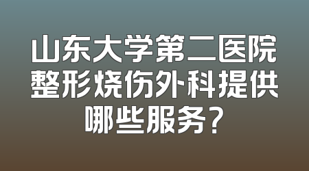 山东大学第二医院整形烧伤外科提供哪些服务？