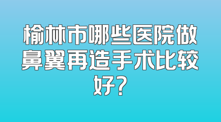 榆林市哪些医院做鼻翼再造手术比较好？