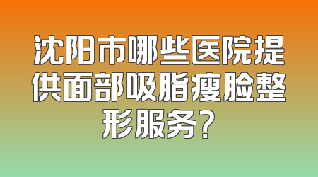 沈阳市哪些医院提供面部吸脂瘦脸整形服务？