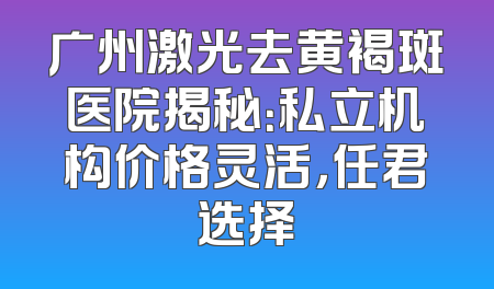 广州激光去黄褐斑医院揭秘：私立机构价格灵活，任君选择