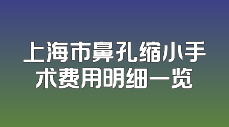 上海市鼻孔缩小手术费用明细一览