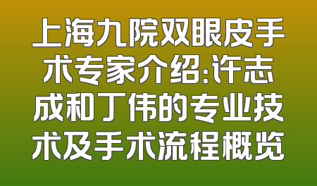 上海九院双眼皮手术专家介绍：许志成和丁伟的专业技术及手术流程概览