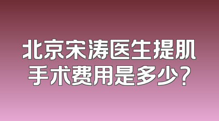 北京宋涛医生提肌手术费用是多少？