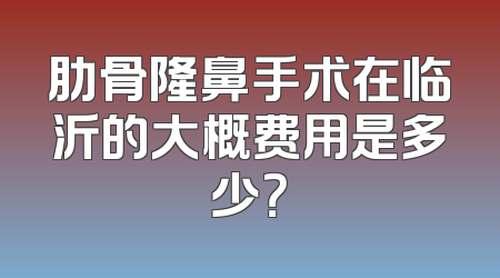 肋骨隆鼻手术在临沂的大概费用是多少？
