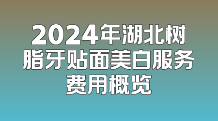 2024年湖北树脂牙贴面美白服务费用概览