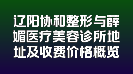 辽阳协和整形与薛媚医疗美容诊所地址及收费价格概览