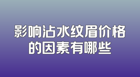 影响沾水纹眉价格的因素有哪些