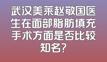 武汉美莱赵敬国医生在面部脂肪填充手术方面是否比较知名？