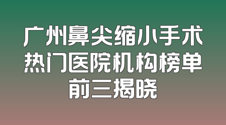 广州鼻尖缩小手术热门医院机构榜单前三揭晓