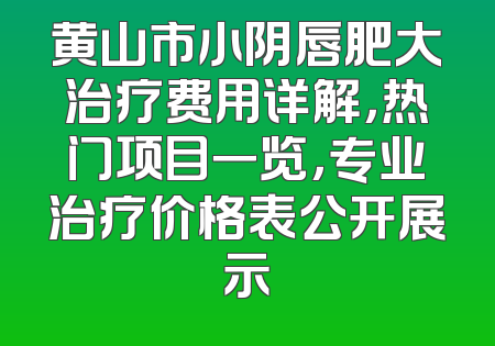黄山市小阴唇肥大治疗费用详解，热门项目一览，专业治疗价格表公开展示