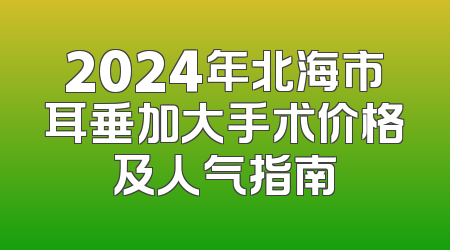 2024年北海市耳垂加大手术价格及人气指南