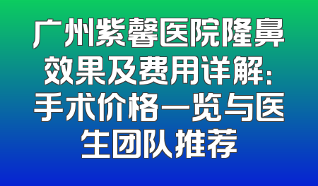 广州紫馨医院隆鼻效果及费用详解：手术价格一览与医生团队推荐