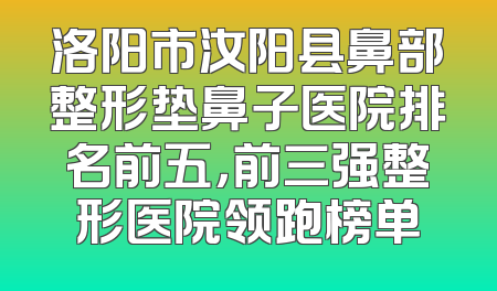 洛阳市汝阳县鼻部整形垫鼻子医院排名前五，前三强整形医院领跑榜单