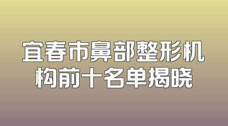 宜春市鼻部整形机构前十名单揭晓
