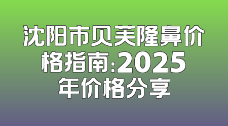 沈阳市贝芙隆鼻价格指南：2025年价格分享