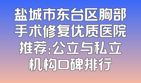 盐城市东台区胸部手术修复优质医院推荐：公立与私立机构口碑排行