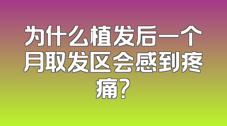 为什么植发后一个月取发区会感到疼痛？