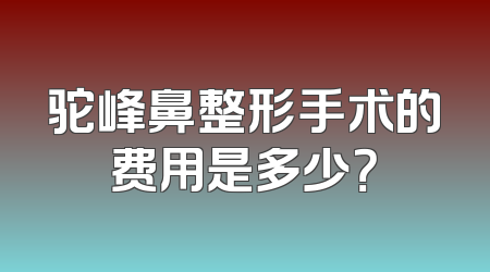 驼峰鼻整形手术的费用是多少？