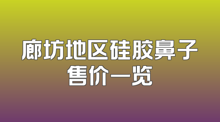 廊坊地区硅胶鼻子售价一览