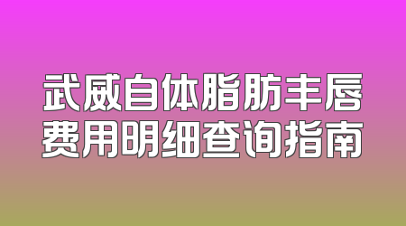 武威自体脂肪丰唇费用明细查询指南