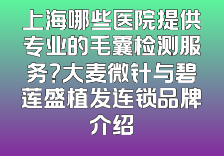 上海哪些医院提供专业的毛囊检测服务？大麦微针与碧莲盛植发连锁品牌介绍