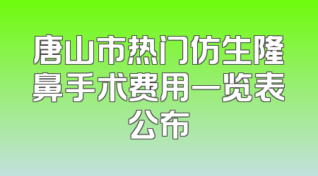 唐山市热门仿生隆鼻手术费用一览表公布
