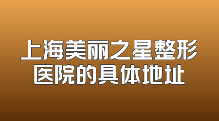 上海美丽之星整形医院的具体地址