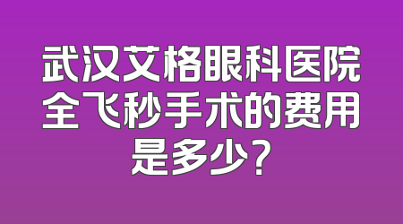 武汉艾格眼科医院全飞秒手术的费用是多少？