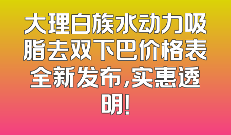 大理白族水动力吸脂去双下巴价格表全新发布，实惠透明！