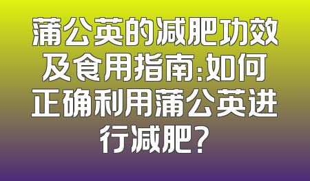 蒲公英的减肥功效及食用指南：如何正确利用蒲公英进行减肥？