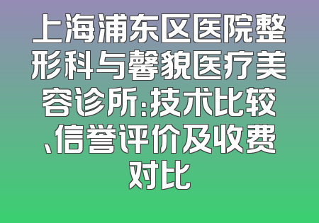 上海浦东区医院整形科与馨貌医疗美容诊所：技术比较、信誉评价及收费对比
