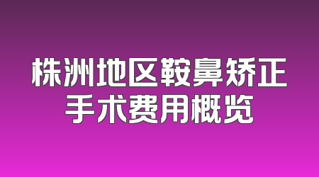 株洲地区鞍鼻矫正手术费用概览