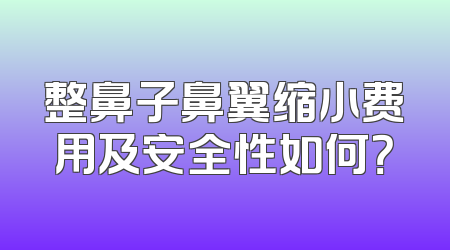 整鼻子鼻翼缩小费用及安全性如何？