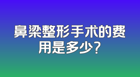鼻梁整形手术的费用是多少？