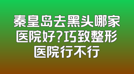 秦皇岛去黑头哪家医院好？巧致整形医院行不行