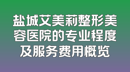 盐城艾美莉整形美容医院的专业程度及服务费用概览