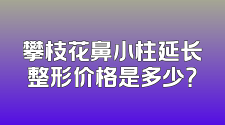 攀枝花鼻小柱延长整形价格是多少？