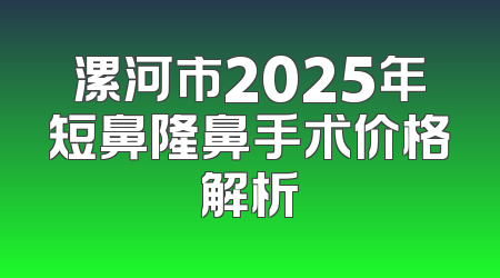 漯河市2025年短鼻隆鼻手术价格解析