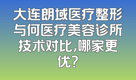 大连朗域医疗整形与何医疗美容诊所技术对比，哪家更优？