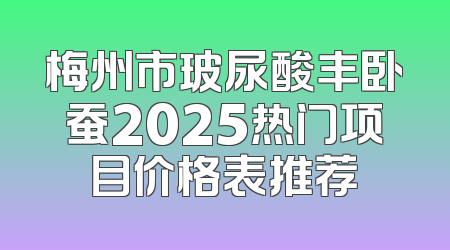 梅州市玻尿酸丰卧蚕2025热门项目价格表推荐