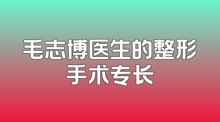 毛志博医生的整形手术专长