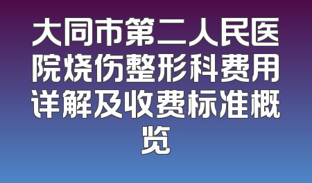 大同市第二人民医院烧伤整形科费用详解及收费标准概览