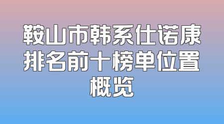 鞍山市韩系仕诺康排名前十榜单位置概览
