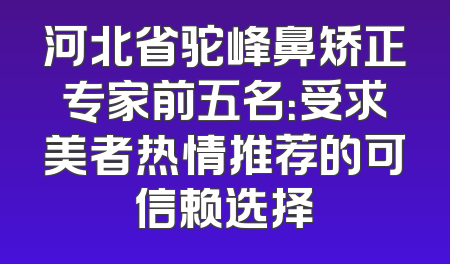 河北省驼峰鼻矫正专家前五名：受求美者热情推荐的可信赖选择