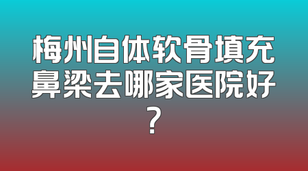 梅州自体软骨填充鼻梁去哪家医院好？