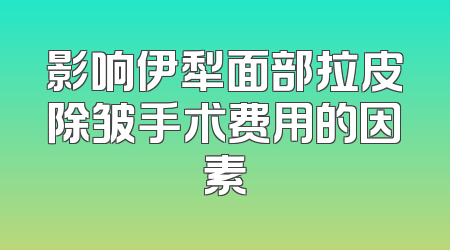 影响伊犁面部拉皮除皱手术费用的因素