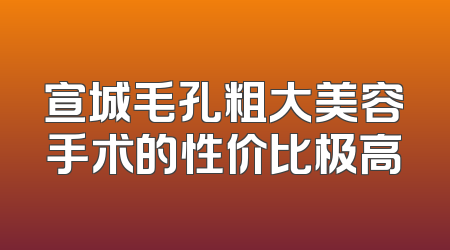 宣城毛孔粗大美容手术的性价比极高